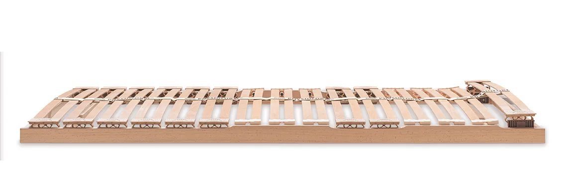 Dormiente Federholzrahmen Physioform Pro