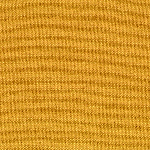 507-ELEGANCE-BURNED-CURRY.jpg