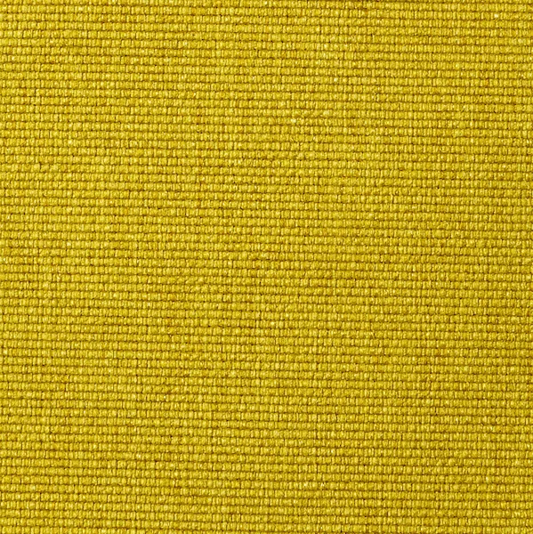 554-SOFT-MUSTARD-FLOWER 554-SOFT-MUSTARD-FLOWER.jpg