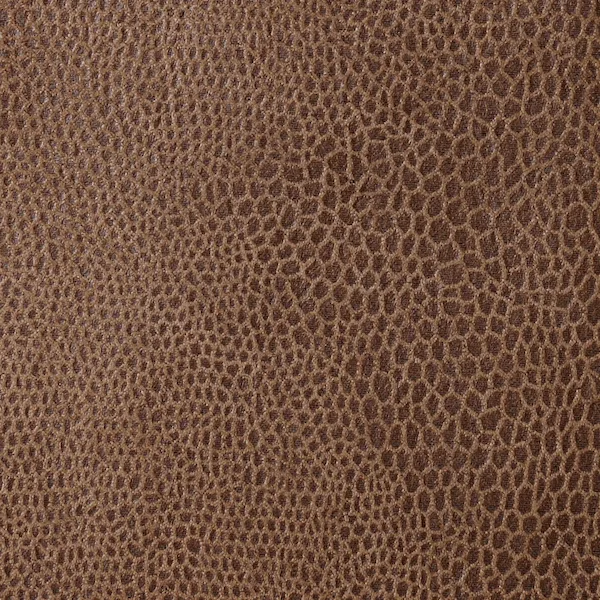 551-FAUNAL-BROWN.jpg
